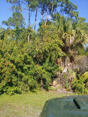 2233 Savage, Port Saint Lucie, FL 34953