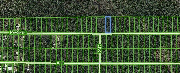974 Hyacinth, Sebring, FL 33875