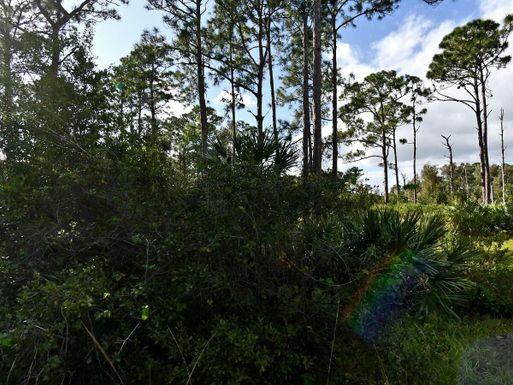 0 Tree Top, Fort Pierce, FL 34951