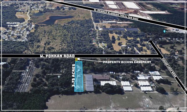 4705 Ponkan, Apopka, FL 32712