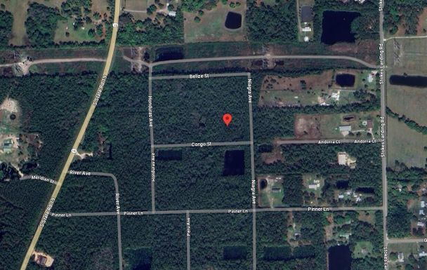 102 Congo, Palatka, FL 32177