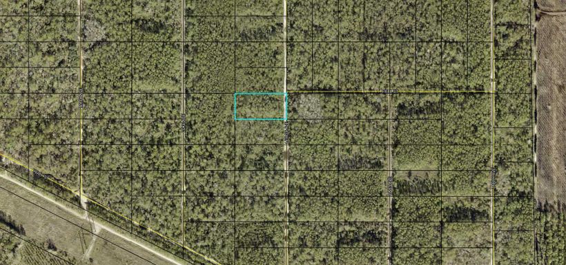 0 Leroy, Hastings, FL 32145