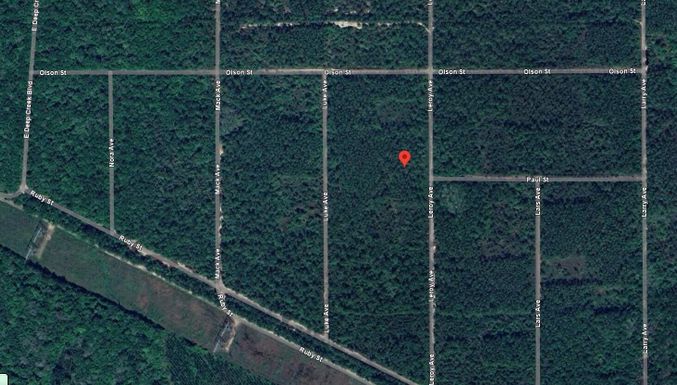 0 Leroy, Hastings, FL 32145