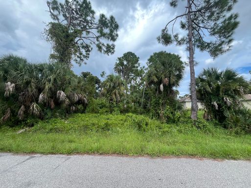 Tbd Cornsilk, North Port, FL 34286