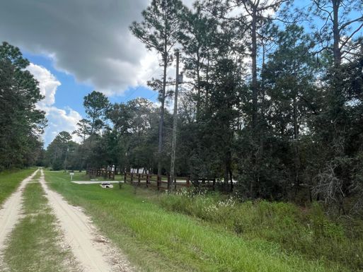 Tbd 82nd, Dunnellon, FL 34432