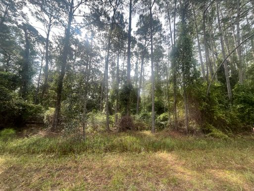 223 2nd, Georgetown, FL 32139