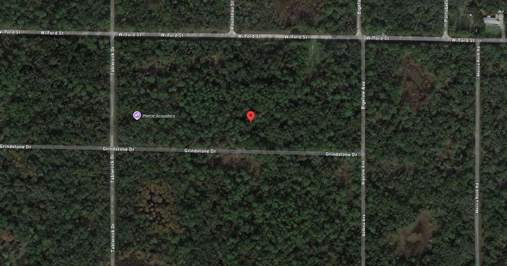 Tbd Grindstone, Webster, FL 33597