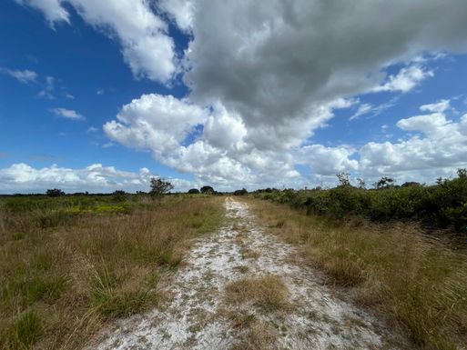 22229 242nd, Okeechobee, FL 34972