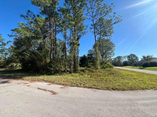 225 Nashville, Lehigh Acres, FL 33974