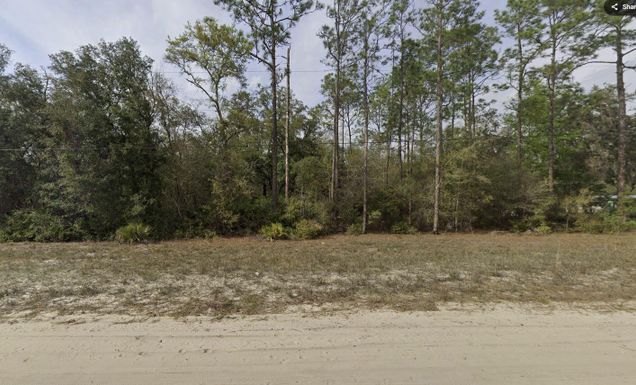 Tbd Hudson, Interlachen, FL 32148