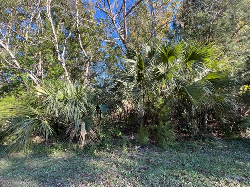 233 Carole, Lake Placid, FL 33852