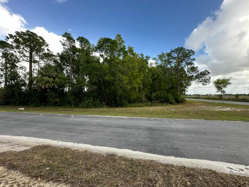 18921 Hamlin, The Acreage, FL 33470