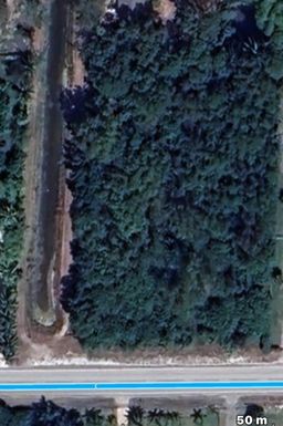 W-110 Orange, The Acreage, FL 33412