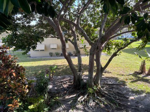 49 Cambridge B, West Palm Beach, FL 33417