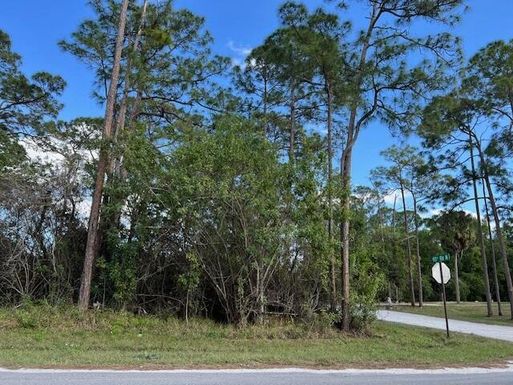 ''17969'' 93rd, Loxahatchee, FL 33470