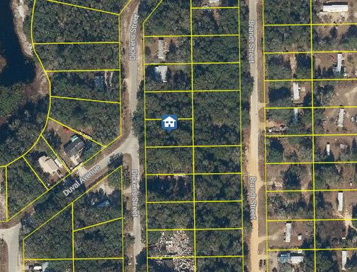 Tbd Dickens, Interlachen, FL 32148