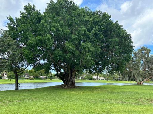 2885 Banyan Boulevard, Boca Raton, FL 33431