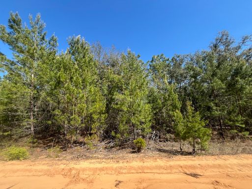 Tbd Shappell, Interlachen, FL 32148