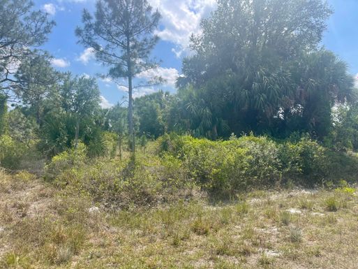 16796 316th, Okeechobee, FL 34974