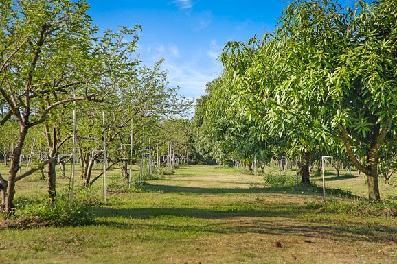 3057 D, Loxahatchee Groves, FL 33470