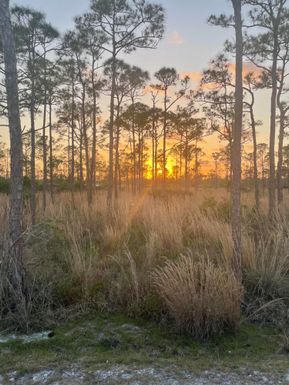 0 Poinciana, Hobe Sound, FL 33455