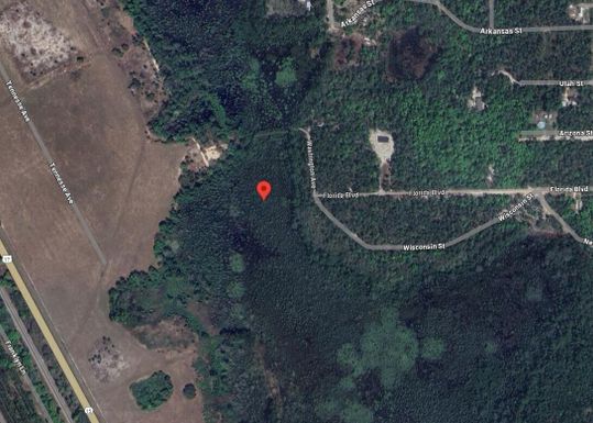 101 Washington, Satsuma, FL 32189