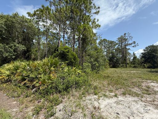 174 Millican, Palatka, FL 32177