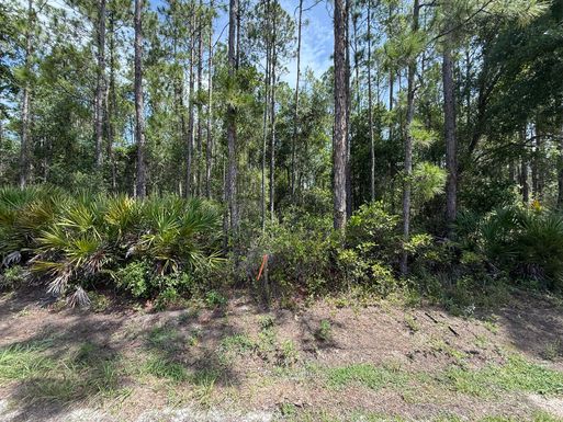178 Millican, Palatka, FL 32177