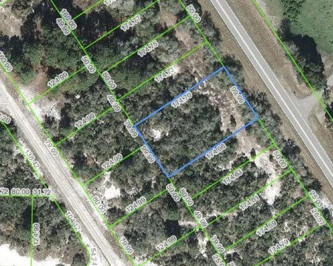 1051 Cr 29, Lake Placid, FL 33852