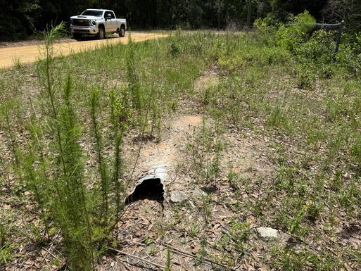 101 Joel, Interlachen, FL 32148