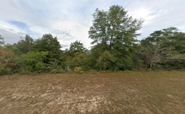 Tbd Elkcam, Chipley, FL 32428