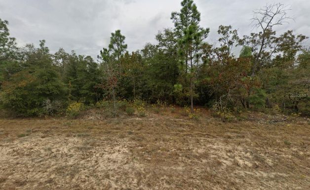Tbd Devonshire, Chipley, FL 32428