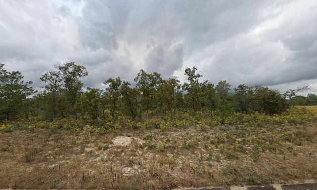 Tbd Dellbrook, Chipley, FL 32428