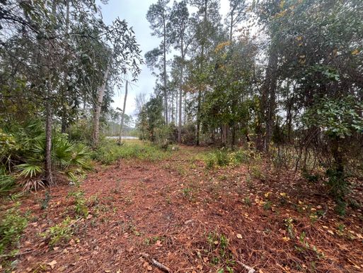 Tbd Susan, Interlachen, FL 32148