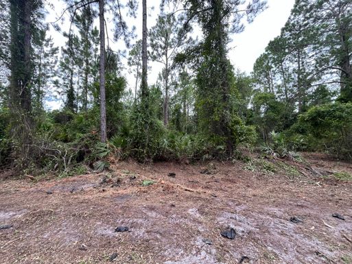 147 Roebuck, Georgetown, FL 32139