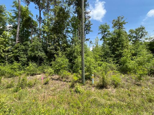 Tbd Magnolia, Marianna, FL 32448