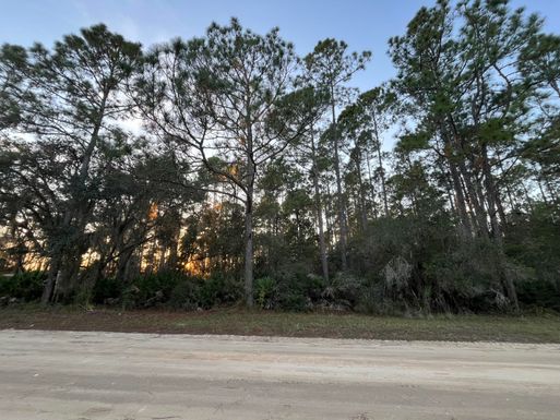 Tbd Royal, Interlachen, FL 32148