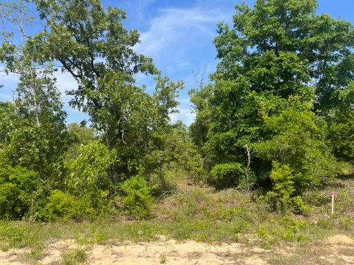 Tbd Rome, Alford, FL 32420