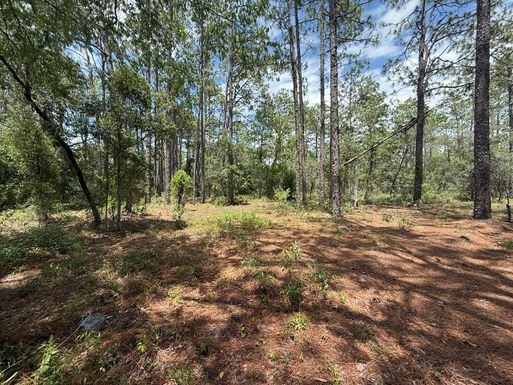 Tbd Ridgewood, Dunnellon, FL 34431