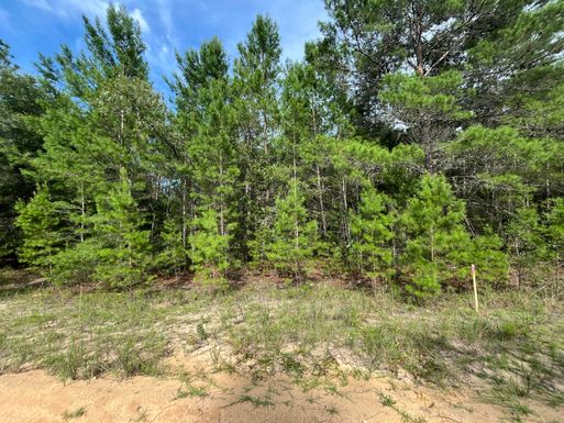 Tbd Neisman Ave, Interlachen, FL 32148