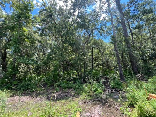 Tbd Franklin, Crawfordville, FL 32327