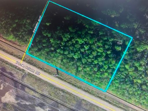 579 Perry Ave, Bunnell, FL 32110