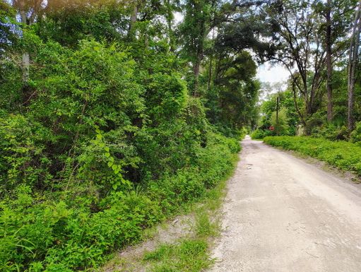 Nw 66 St Nw 24th Ave, Ocala, FL 34475