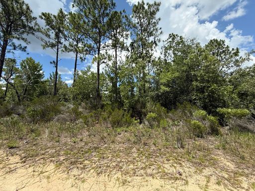 187 Paris, Interlachen, FL 32148