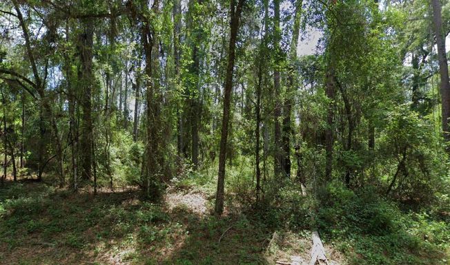 1032 Vercelli, Citrus Springs, FL 34434