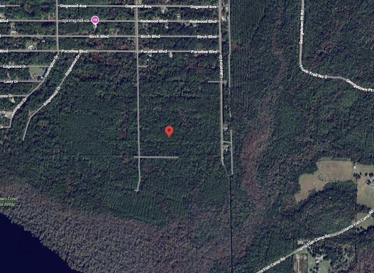 214 Garrison, Georgetown, FL 32139