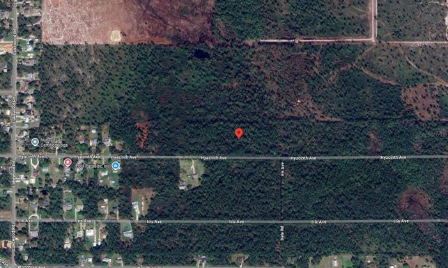 1016 Hyacinth Avenue, Sebring, FL 33875
