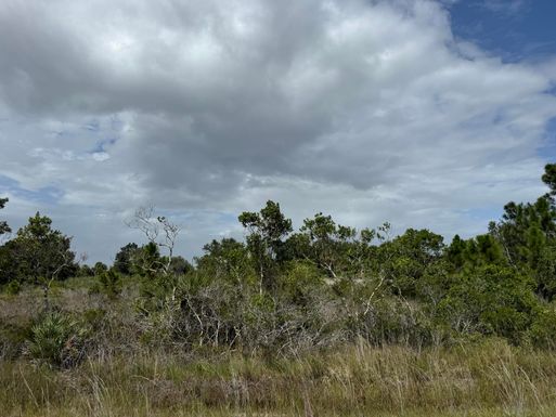 15264 310th, Okeechobee, FL 34972