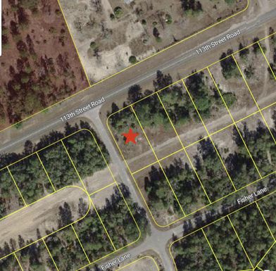 0 Tbd 113th Street Lot 1, Ocklawaha, FL 32179