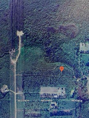 Tdb Ne 125th Ave, Fort McCoy, FL 32134